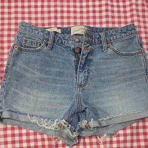 Universal Thread Vintage Midi Shorts